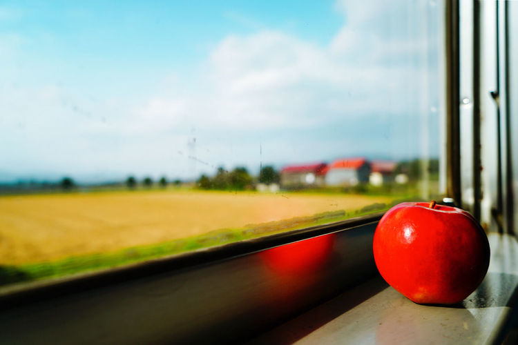 Close-up of red tomatoes on car window