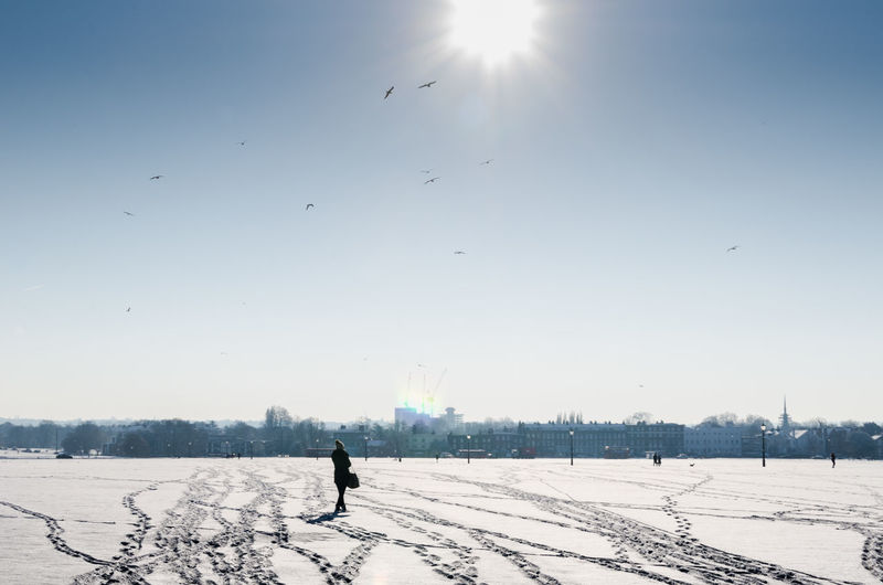 People and birds in flight on a sunlight snowy field at blackheath common in winter 