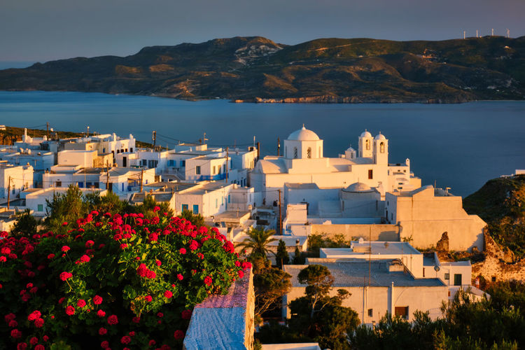 View of plaka village on milos island over red geranium flowers on sunset in greece