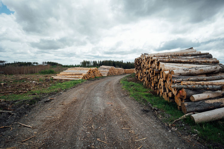 Stack of logs on road amidst field against sky
