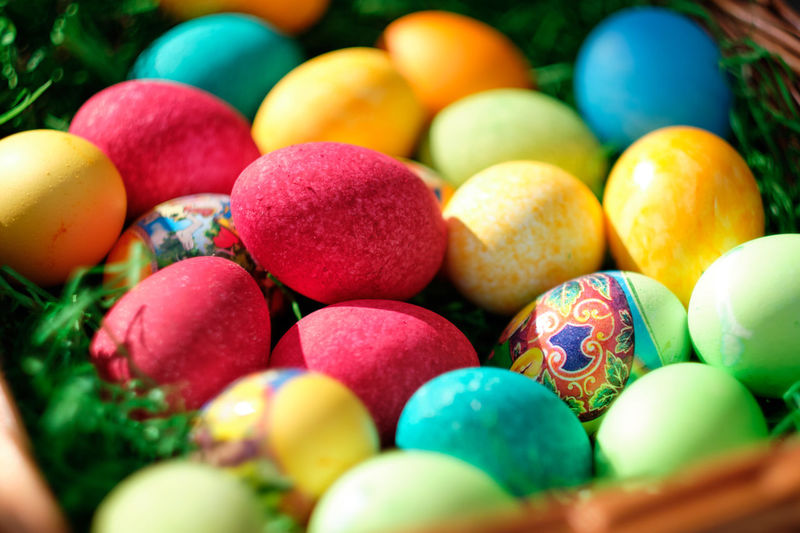 Close-up of multi colored candies