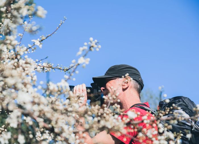 Man photographing by cherry blossom tree