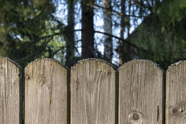 A wooden fence with planks rounded on top. outdoors of day. front view.