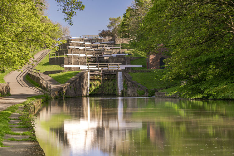 Bridge over lake against trees