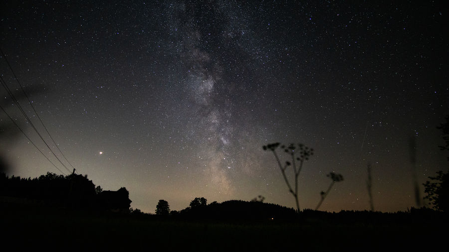 Silhouette trees on field against sky at night