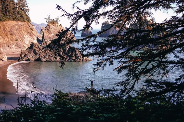 Scenic view of sea and trees