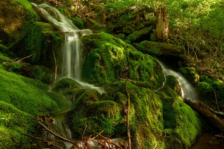 Long exposure of a stream falling down a green mossy rocks in spring 
