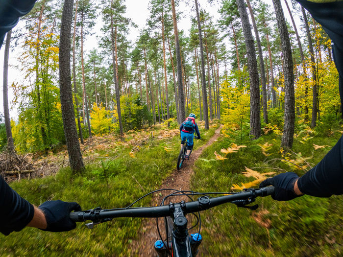 Gopro first person view following a woman mountain biking on footpath in forest.