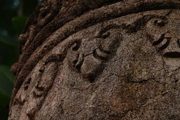 Close-up of carving on tree trunk