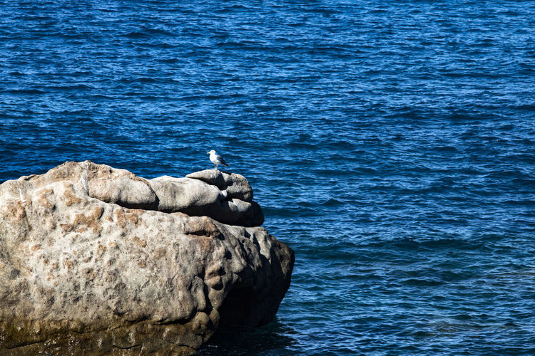 View of rock formation in sea