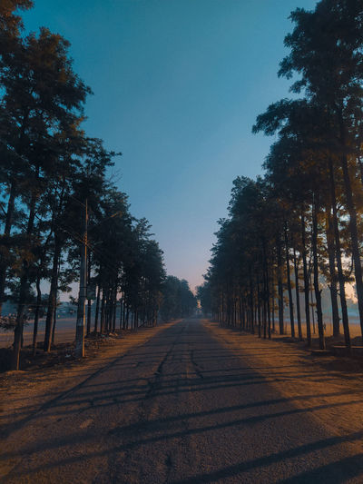 Empty road along trees and against sky