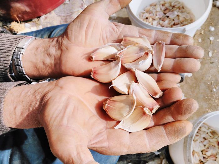Midsection of man holding garlic cloves