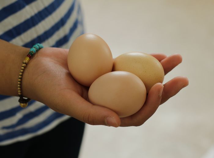Midsection of woman holding eggs