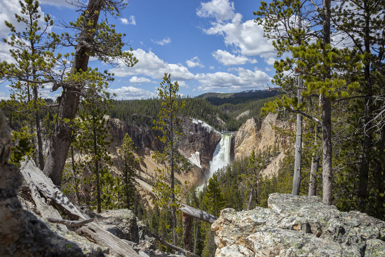 High angle view of yellowstone falls in yellowstone national park on a sunny day