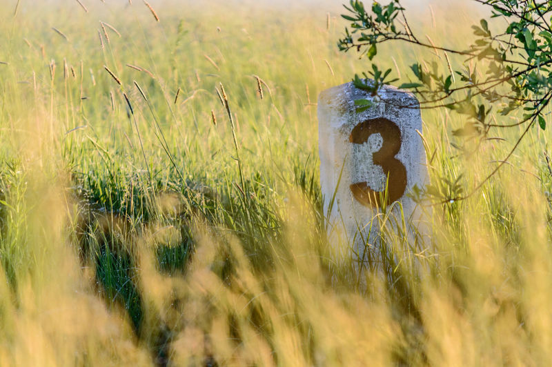Number 3 on distance marker amidst grassy field