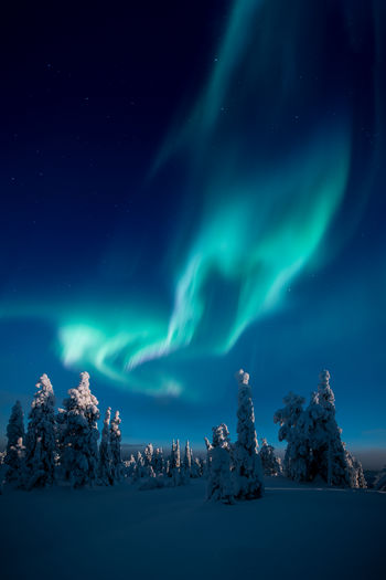 Low angle view of aurora borealis over snow covered landscape at night
