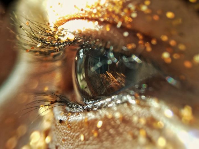 Extreme close-up of woman eye with glitter