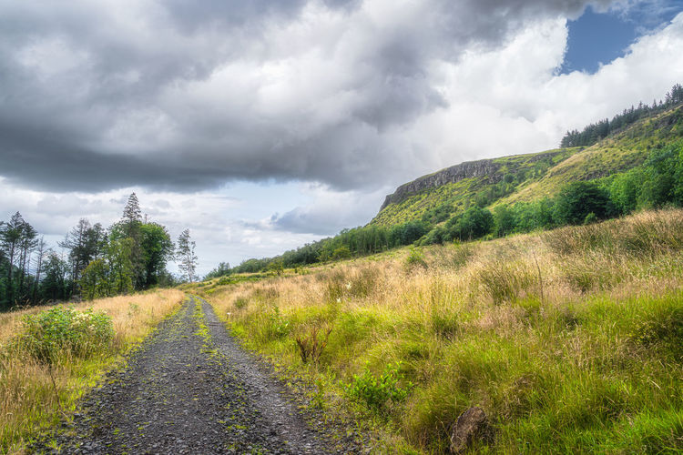 Country road leading trough meadows to the forest on the hill, glenariff forest park