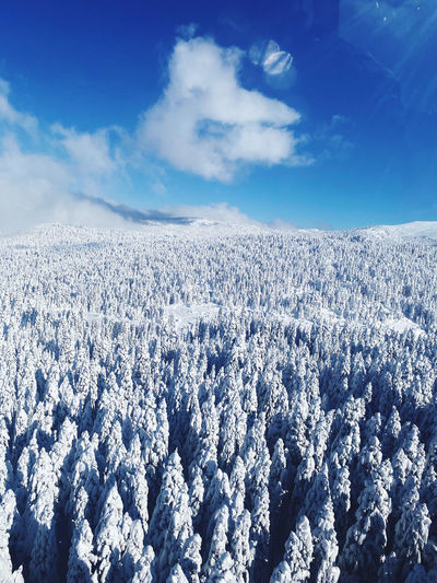 Scenic view of snow covered landscape against blue sky