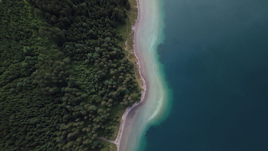 Aerial view of lake by forest