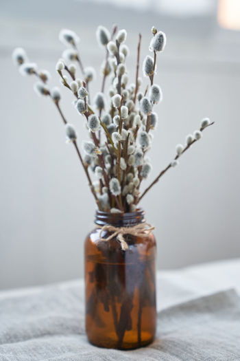 Close-up of flowers in jar on table