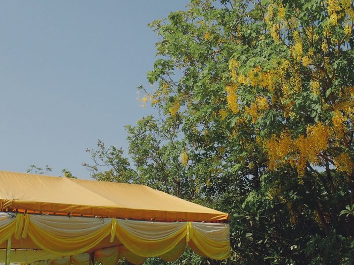 Close-up of yellow tent against clear sky