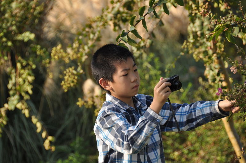Teenage boy photographing plants at public park