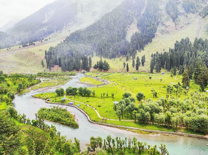 Scenic view of landscape