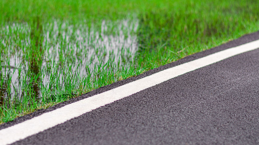 Road by grass in city