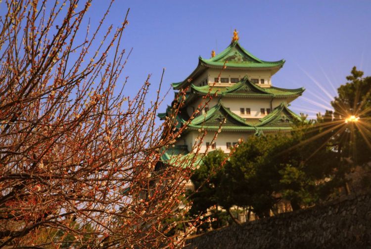Low angle view of nagoya castle against clear sky