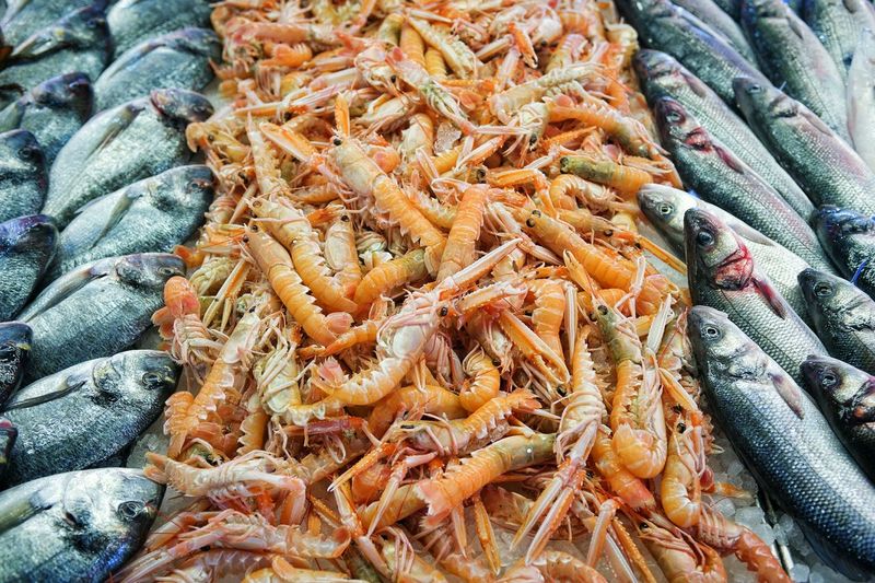 High angle view of shrimps and fish at market for sale
