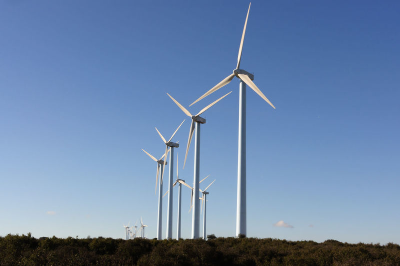 Windmills on field against clear blue sky