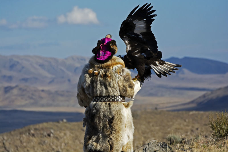 Eagle hunter mongolia