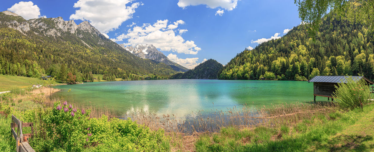 Scenic view of lake by trees against sky