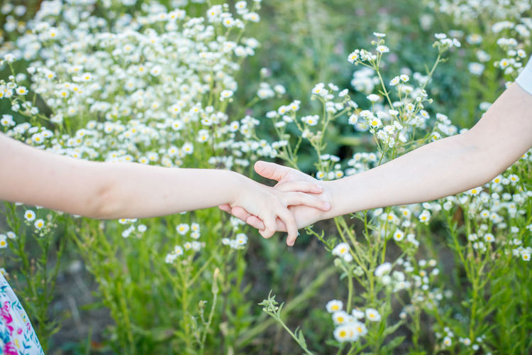 Close-up of couple holding hands against plants