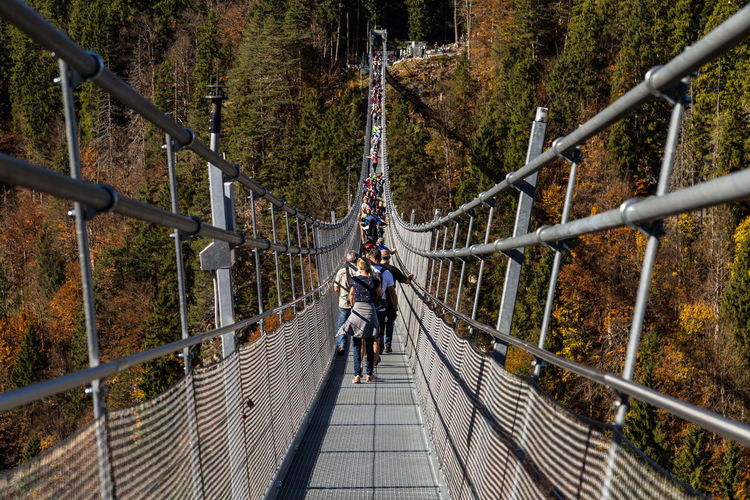 People walking on footbridge amidst trees in forest