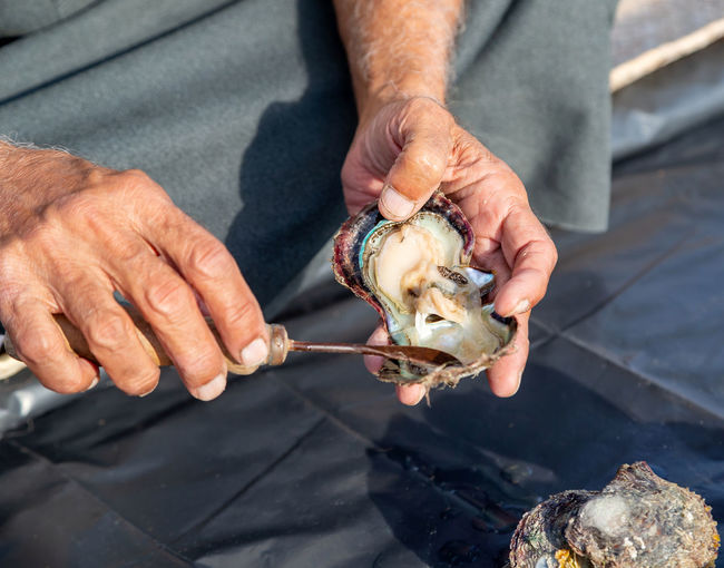 Man opening pearl oyster, hands in frame