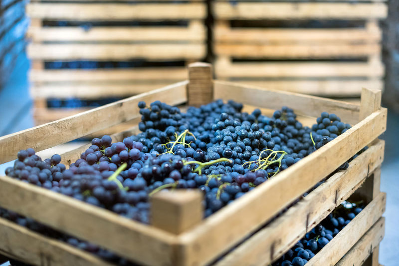 View of grapes in box