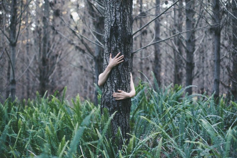 HAND ON TREE TRUNK