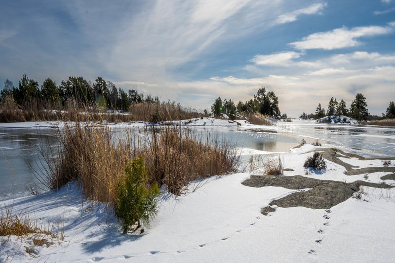 Nature reserve in winter with snow