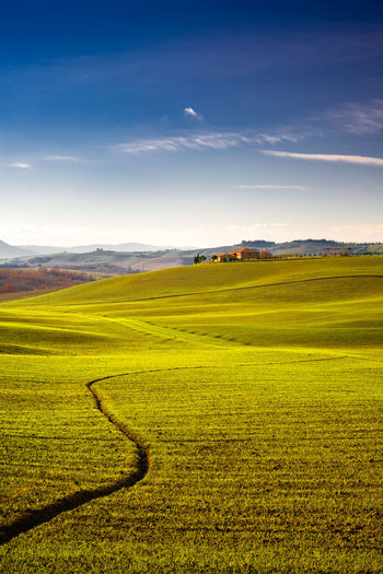 Scenic view of landscape