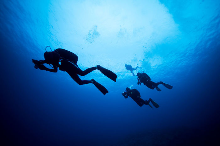 Low angle view of people scuba diving in sea
