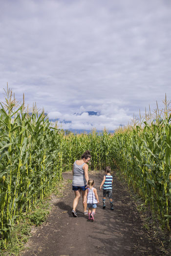 Mother walks through corn maze with her son and daughter
