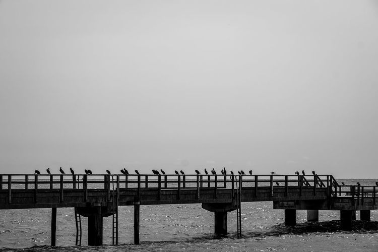 pier