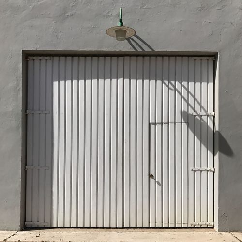Bird on building