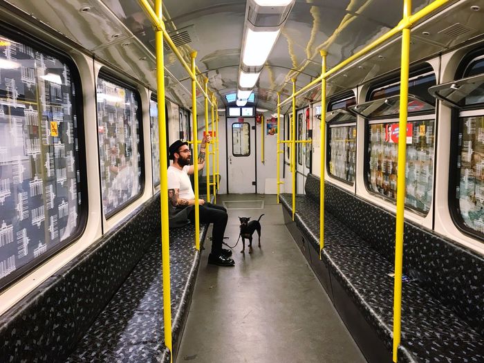 Side view of man traveling with dog in train