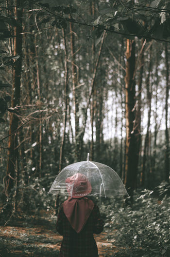 Rear view of woman with umbrella standing in forest