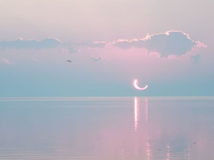 Solar eclipse by my phone
