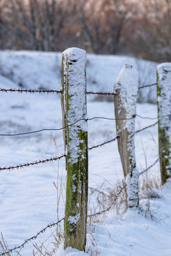 Close-up of wooden fence on snow covered field