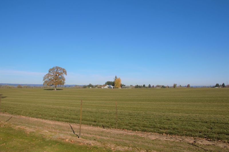 Scenic view of field against clear blue sky